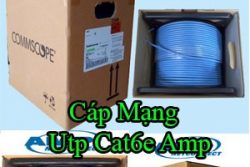 Cap Mang Utp Cat6e Amp