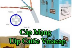 Cap Mang Utp Cat6e Vinacap
