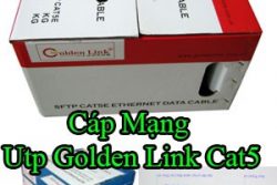 Cap Mang Utp Golden Link Cat5