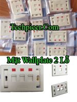 Mat Wallplate 2 Lo