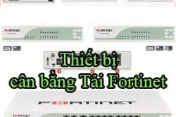 cung-cap-thiet-bi-switch-mang-fortinet