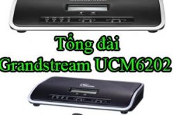 Tong Dai Grandstream Ucm6202