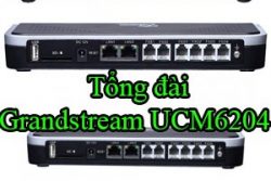Tong Dai Grandstream Ucm6204