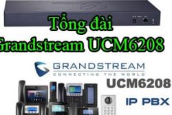 Tong Dai Grandstream Ucm6208