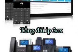 Tong Dai Ip 3cx