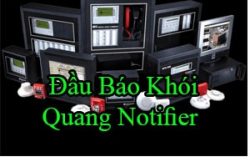 Dau Bao Khoi Quang Notifier