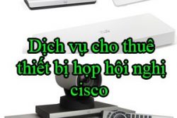 Dich Vu Cho Thue Thiet Bi Hop Hoi Nghi Cisco