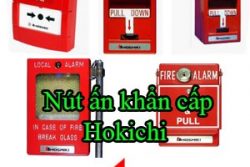 Nut An Khan Cap Hokichi