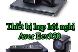 Thiet Bi Hop Hoi Nghi Aver Ecv950