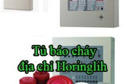 Tu Bao Chay Dia Chi Horinglih