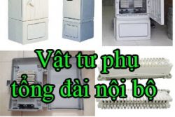Vat Tu Phu Tong Dai Noi Bo