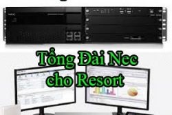 Tong Dai Nec Cho Resort