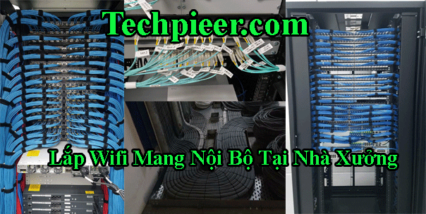 Cong Ty Thi Cong Wifi Mang Noi Bo Tai Nha Xuong